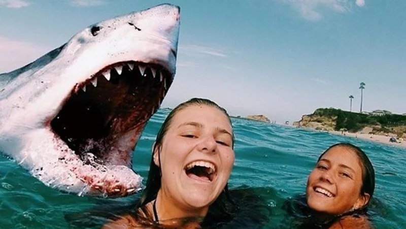 Океаннинг "Суперқаҳрамонлари": Мактаб дарсликларига кирмаган 10 та ҳайратланарли факт