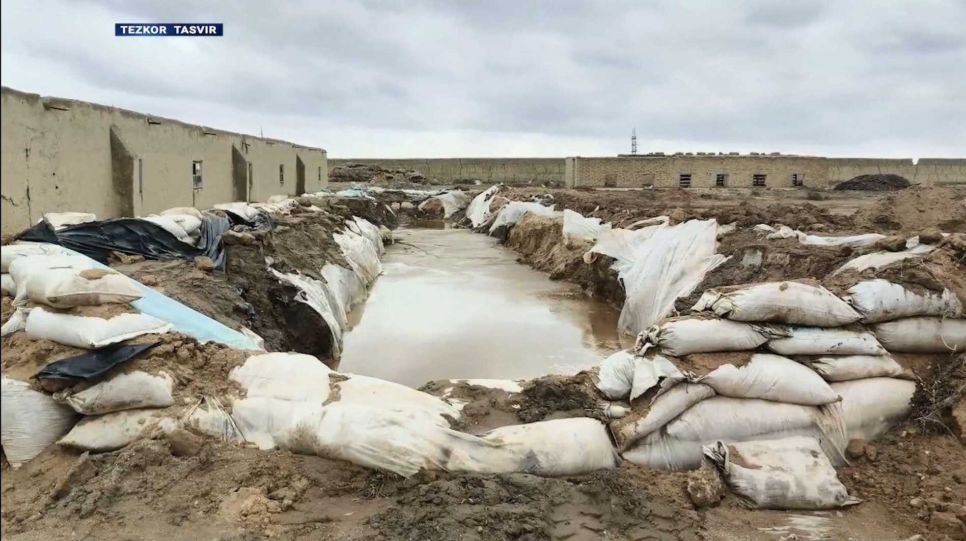 Навоийда миллиардлаб сўмлик ноқонуний олтин қазиб олиш ҳолатлари аниқланди