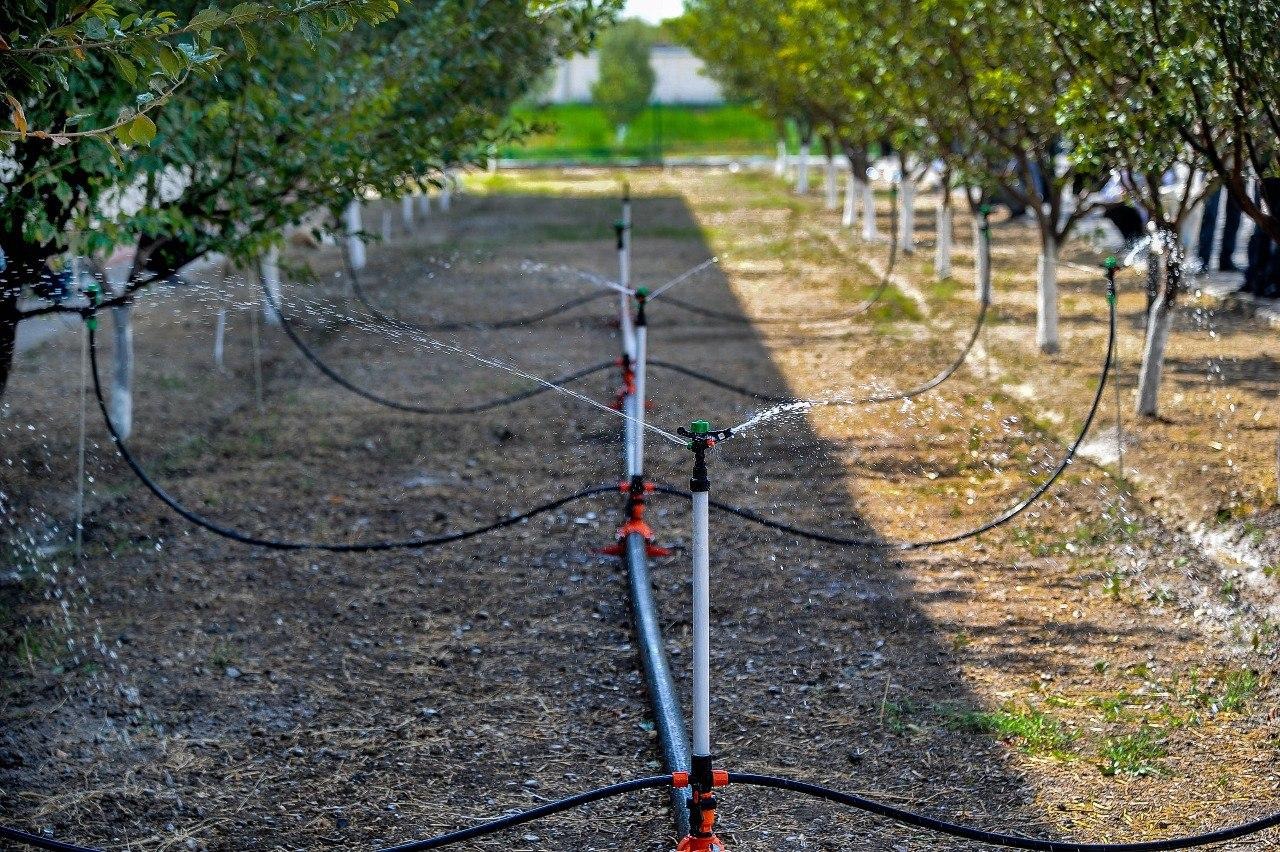 Сувни тежайдиган технологиялар учун субсидия берилади