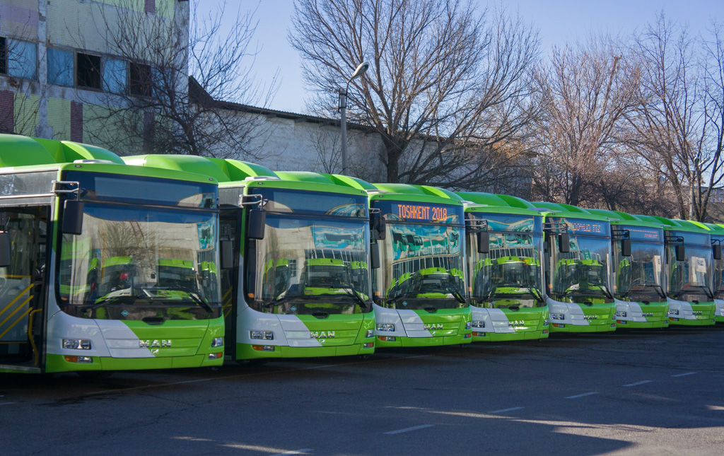 ozbekistonda-zhamoat-transporti-yagona-aglomeratsiya-tizimiga-otkaziladi