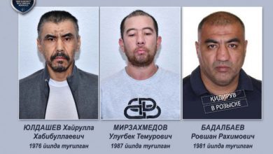 Попались несколько. Попались несколько